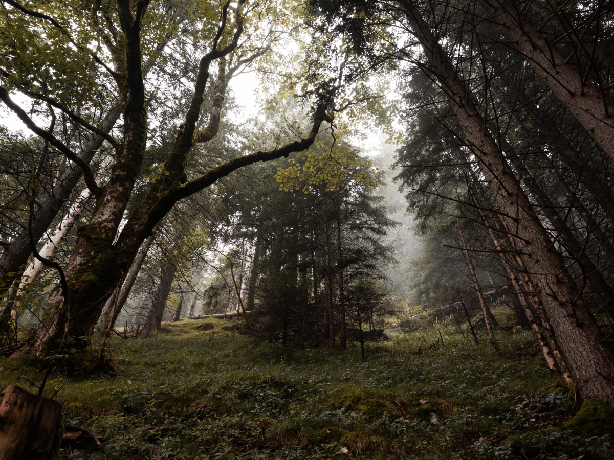 _8271802--R_JPEG_SRGB_3M-2